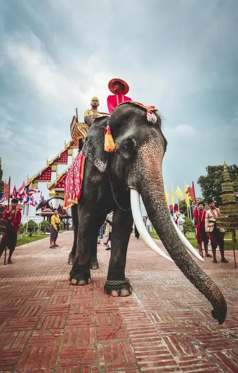 Ayutthaya Grand Festival Week — ภาพจากงานจริง 1