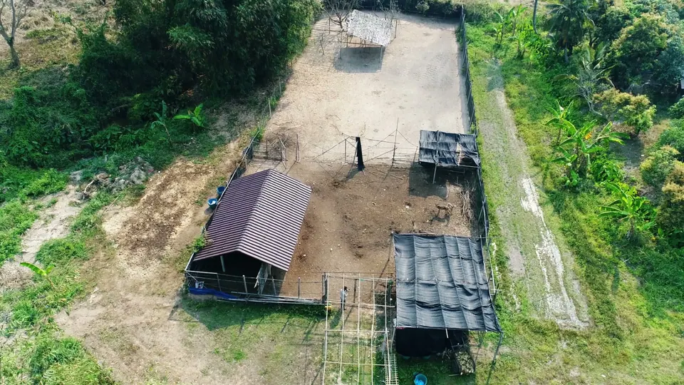 Taluy Diew Tiew Muang Thai — ภาพจากงานจริง 6